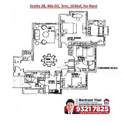 Scotts 28 (D9), Condominium #432020381